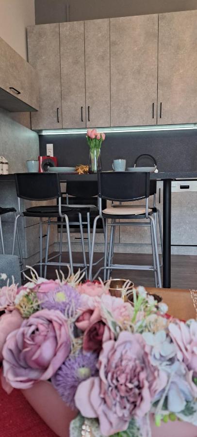 Napraforgo Apartman Apartment Szeged Luaran gambar